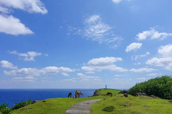 Yonaguni Adasında Hoese — Stok fotoğraf