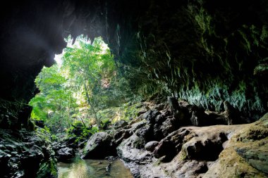 iriomote adasında büyük mağara