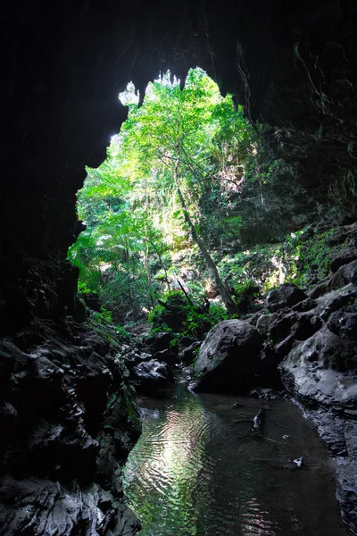 Grande Caverna Ilha Iriomote — Fotografia de Stock