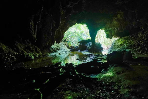 Gran Cueva Isla Iriomote — Foto de Stock