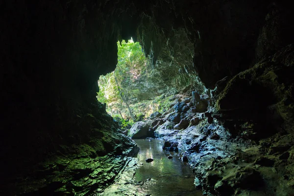 Grande Grotte Dans Île Iriomote — Photo