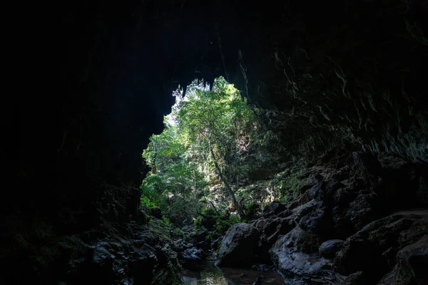 Grande Caverna Ilha Iriomote — Fotografia de Stock