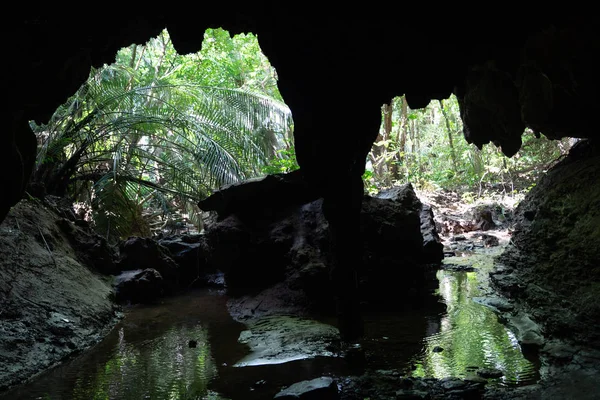 Grande Caverna Ilha Iriomote — Fotografia de Stock