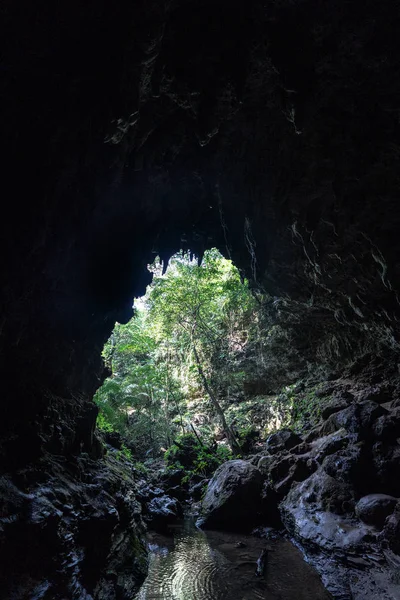 Grande Caverna Ilha Iriomote — Fotografia de Stock