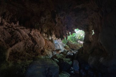 iriomote adasında mağara