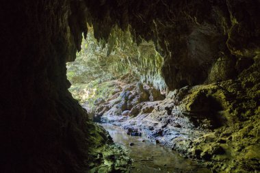 iriomote adasında mağara