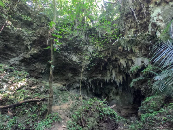 Cueva Isla Iriomote — Foto de Stock