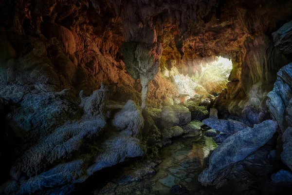 Grotte Sur Île Iriomote — Photo