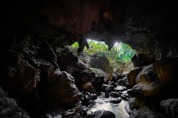 Grotte Sur Île Iriomote — Photo