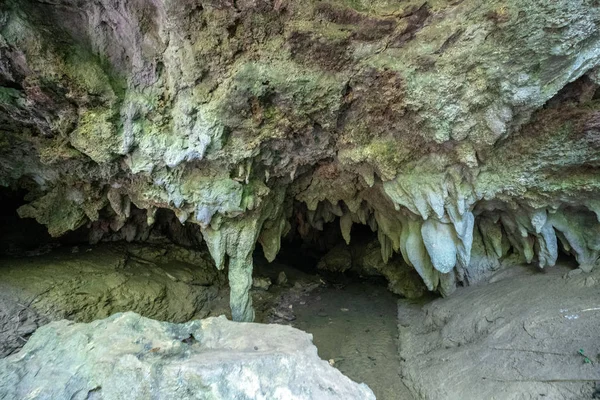 Grotte Sur Île Iriomote — Photo