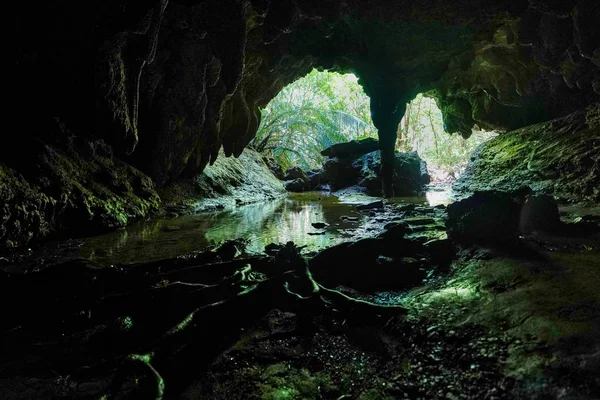 西表島の洞窟 — ストック写真