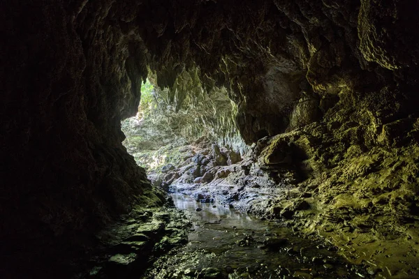 iriomote adasında mağara