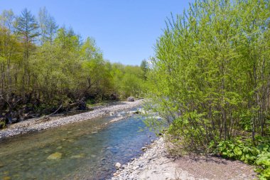 bahar tokachi peyzaj