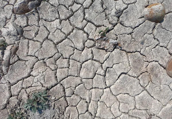 夏季裂缝地面 — 图库照片