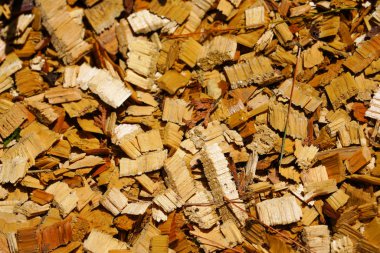 wood chips on ground
