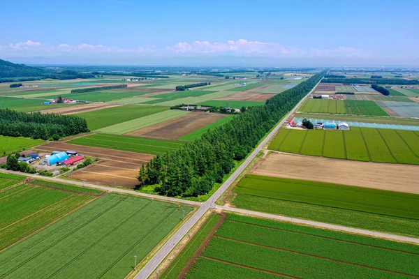 Krajobraz Hokkaido Lato — Zdjęcie stockowe