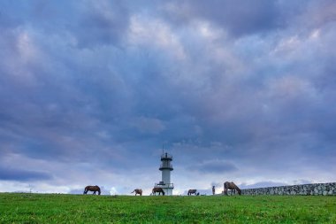 Yonaguni ada manzara