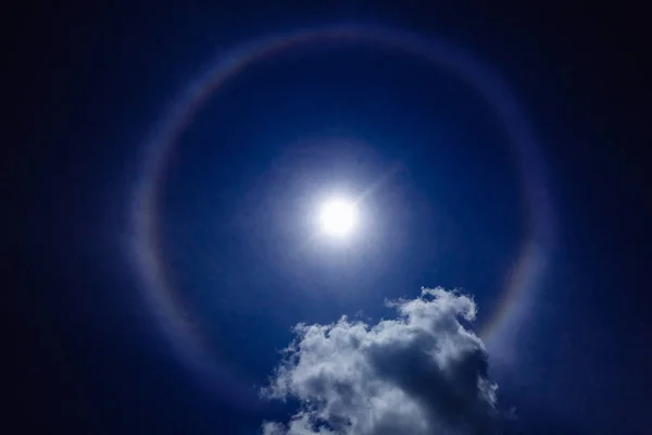 Yaz Aylarında Güneş Çarkı — Stok fotoğraf