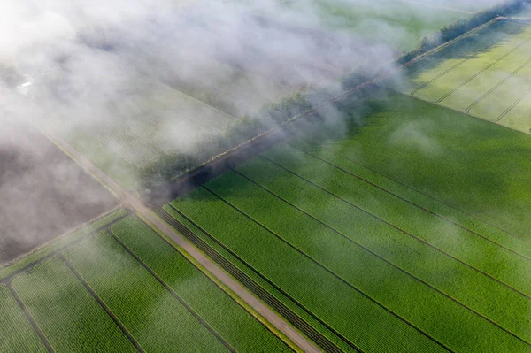 Hokkaido Içinde Bulut Alan — Stok fotoğraf