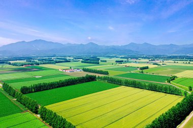 Yaz hokkaido manzara