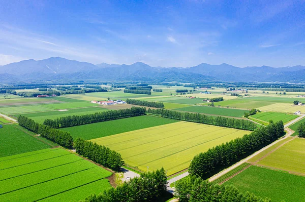 Krajobraz Hokkaido Lato — Zdjęcie stockowe