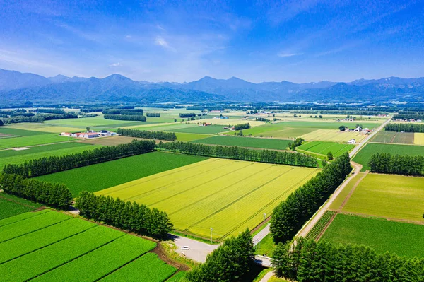 Landscape Summer Hokkaido — Stock Photo, Image