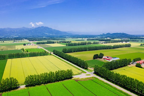 Krajobraz Hokkaido Lato — Zdjęcie stockowe