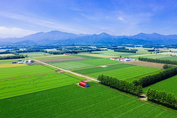 Landscape Summer Hokkaido — Stock Photo, Image