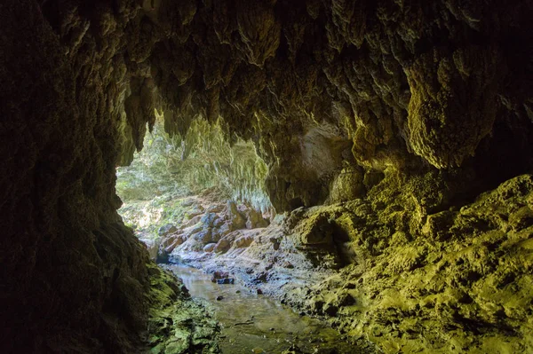 Cueva Isla Iriomote — Foto de Stock