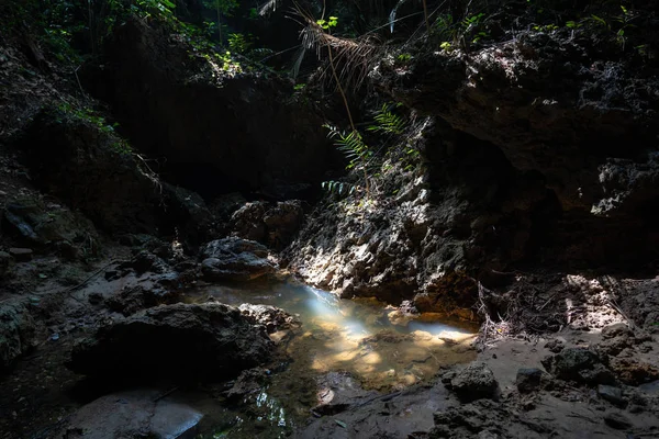 Caverna Ilha Iriomote — Fotografia de Stock