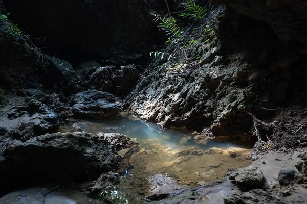 Cueva Isla Iriomote — Foto de Stock
