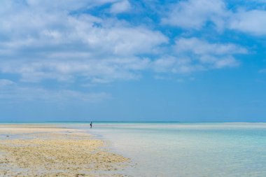 kondoi plaj taketomi Adası