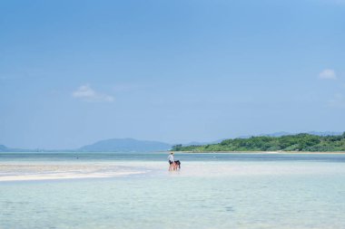 kondoi plaj taketomi Adası