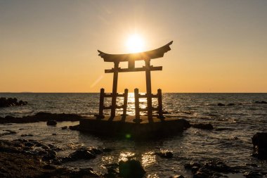 senset okyanusta torii