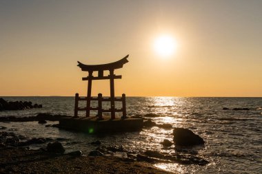 senset okyanusta torii