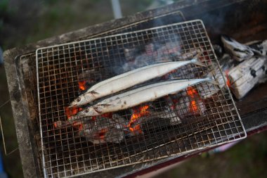 japonya'da uskumru saury pike