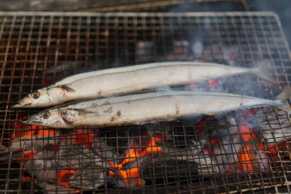 Makreel Saury Pike Japan — Stockfoto