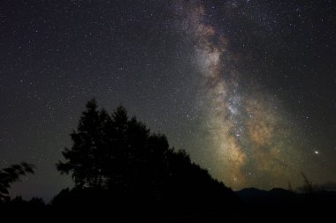samanyolu galaksi ve rüzgar geçirmez orman