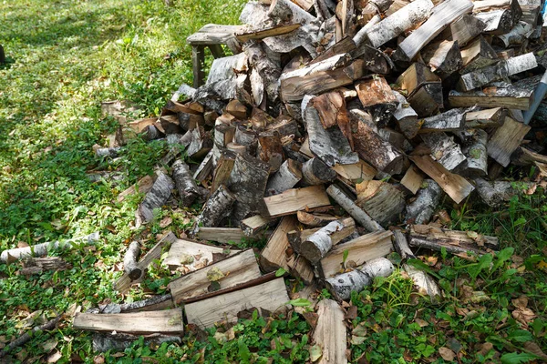 Bois Chauffage Dans Jardin Été — Photo