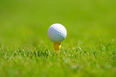 Yeşil üzerine golf topu
