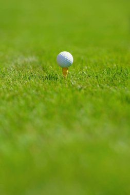 Yeşil üzerine golf topu