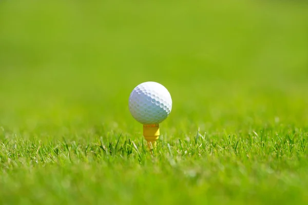Bola Golfe Verde — Fotografia de Stock