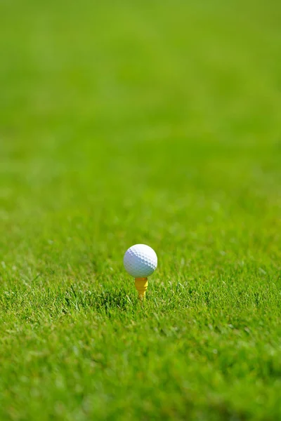 녹색으로 골프볼 — 스톡 사진
