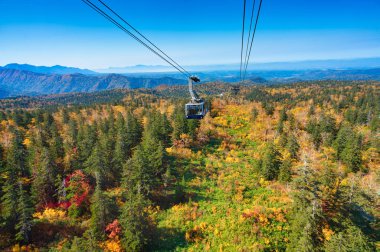Sonbaharda Hokkaido Dağı 'nda.