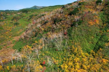 Sonbaharda Hokkaido Dağı 'nda.