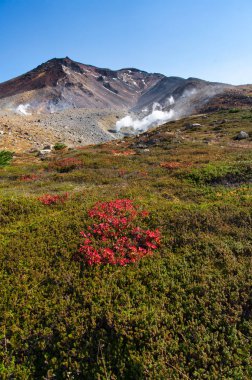 Hokkaido japan 'daki Asahi Dağı.