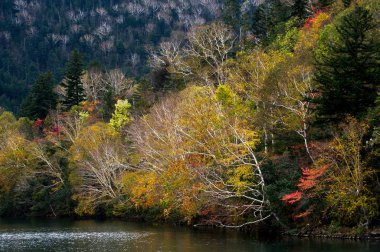 Hokkaido'da göl shikaribetu