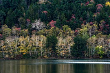Hokkaido'da göl shikaribetu