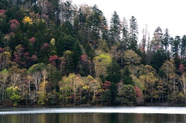 Hokkaido'da göl shikaribetu