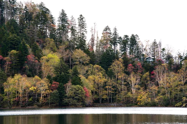 Lago Shikaribetu Hokkaido — Foto Stock